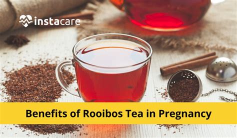 can i drink rooibos tea while pregnant